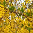 논공중앙로 이미지