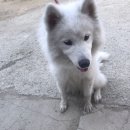 선부119안전센터 이미지