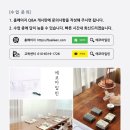 에코아일린