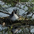 이산포길 이미지