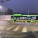 라이라이 이미지