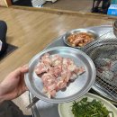 유포리영
