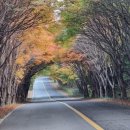 청산도 안단테 이미지