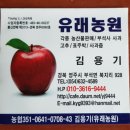 아오리 이미지