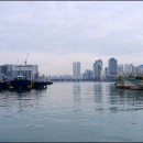 남항시장 1호 이미지