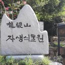 안일산악회 제240차 정기산행 순창 용궐산 하늘길/ 채계산 출렁다리 이미지