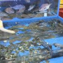 잘 회수산 센터 이미지