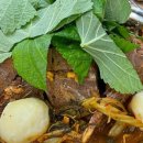 원조감자탕닭갈비 이미지