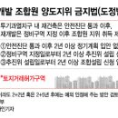 양도(여의도) 머니투데이
