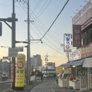 만기횟집 | [서오릉 횟집] 포장전문 찐맛집 어촌활어회 왕추천🌟✨후기