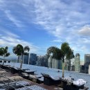 마리나장 | 싱가포르 마리나베이샌즈 샌즈 프리미어 가든스바이더베이뷰킹룸 &amp; 인피니티풀 &amp; 슈퍼트리쇼 후기