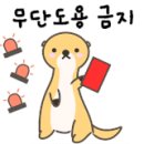 룡룡마켓