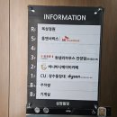 루틴펫살롱 | [바니바니 베이비카페] 안양 비산동 키즈카페 | 내돈내산 N번째 방문 | 16개월 남자아기 후기