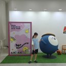 김대중컨벤션센터 | 2025 광주 ACE Fair 에이스 페어 후기 / 김대중컨벤션센터 박람회 입장권 주차 무료체험 이벤트