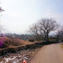신계리/상신 Daum카페