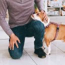 앨리스동물병원 이미지