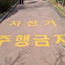 정릉천 제방 이미지