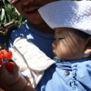 아린농장 이미지