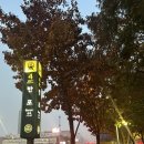 J메디피아 | 11월 4주차 주간일기