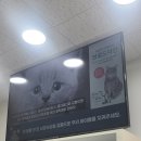 모코동물의료센터 이미지