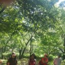 무네미길 이미지