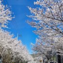 경주시종합자원화단지 | 경주시종합자원화단지 웰빙센터 옆 장곡지 공원 산책