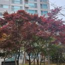 대주피오레(아) 2단지 이미지