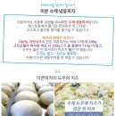 폴라베어 이미지