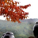 소슬락