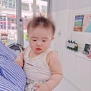 라벤더에쉬