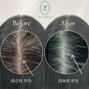 헤어팡팡 & 가발