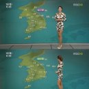 임현진 카카오 검색결과