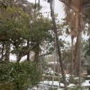 씨에스 호텔 앤 리조트 이미지