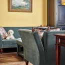 위드 마이 펫 이미지