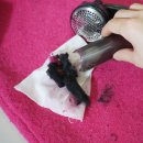 모드세탁소 | 겨울옷 살리는 니트관리템! 티나인랩티나인 세탁소보풀제거기추천 찐후기