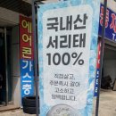고가김밥 네이버블로그
