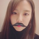 젤리피쉬 이미지