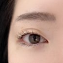 에이치앤제이빌딩 | 강남 선릉 속눈썹펌 언더연장 잘하는 곳 제이앤컬 솔직후기