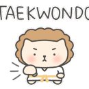 더원태권도 이미지