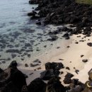 애월한담해안산책로 이미지