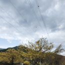 시목마을회관 이미지