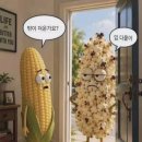 정신과 교수가 보내준 '유머(humor)' 이미지