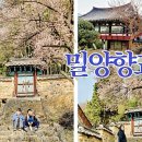 매화작은도서관 네이버블로그