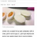 겨란 특종. 그것은 사실이었다. 🧡 이미지