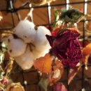 빌라지오 이미지