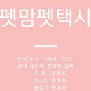 펫아찌펫아씨 네이버블로그