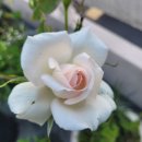 (주)에이원시스템 이미지