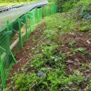 태산 태양광발전소 이미지