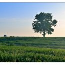 안선목장 이미지