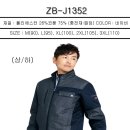 J1352 이미지